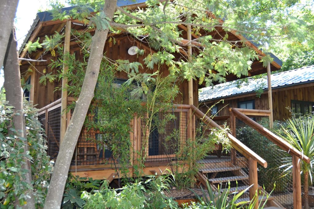 LODGE  SOLARO